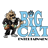 Small thumbnail image for Big Cat Entertainment