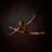 Small thumbnail image for Lyskei (Kelly Maryanski)