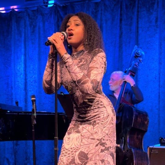 The Chameleon Artist - Jazz Singer in Chelsea, MA