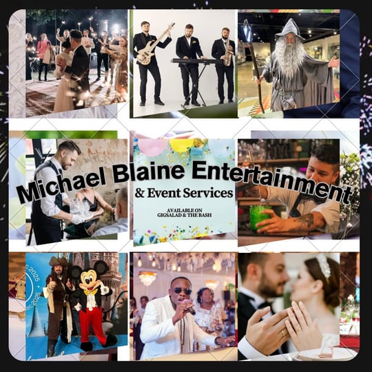 Michael Blaine Entertainment & Event Services - Children’s Party Entertainment / Taylor Swift Impersonator in Corona, CA