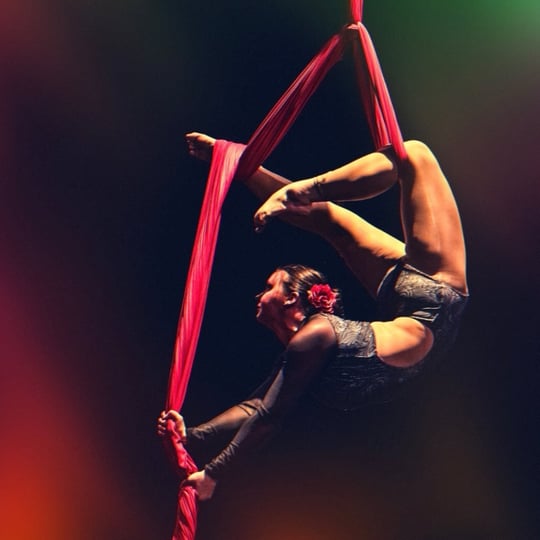 Hannah Kay Aerial - Aerialist / Circus and Acrobatic in Lexington, KY