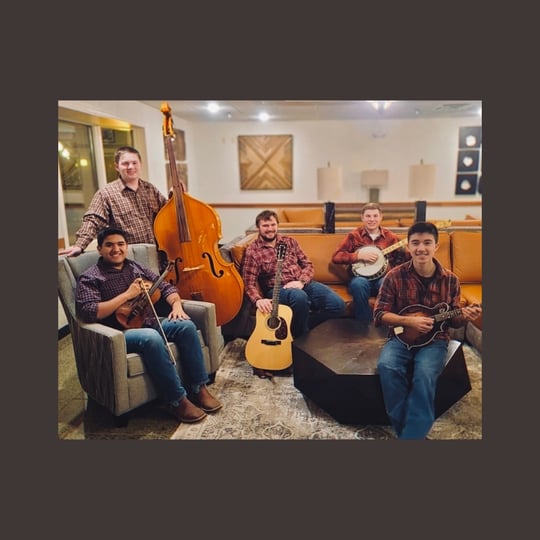 Ozark Strangers - Bluegrass Band in Mountain View, AR
