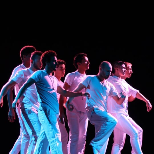 Middle Beast Dance Entertainment - Dance Troupe in Los Angeles, CA