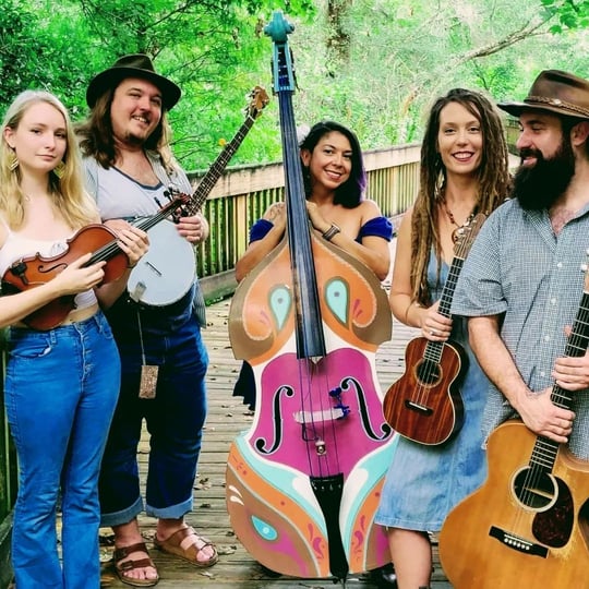 Free Range Strange - Americana Band / Bluegrass Band in St Petersburg, FL