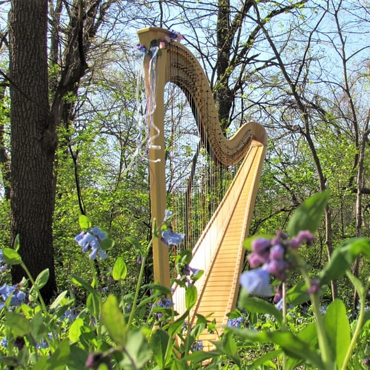 Cedar Valley Harpist - Harpist in Cedar Falls, IA