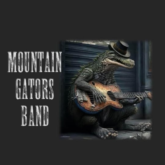 Mountain Gators Band Roots, Rock, Blues - Blues Band in Gansevoort, NY