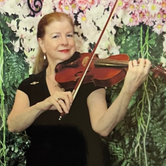 Paradies Ensemble - Violinist / String Trio in Largo, FL
