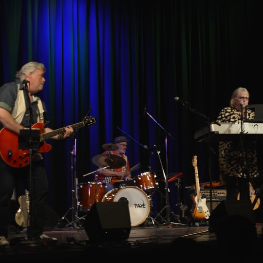 Vintage Vibes Band - Oldies Music in Belleville, ON