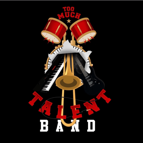 Too Much Talent Band - Cover Band in Washington, DC