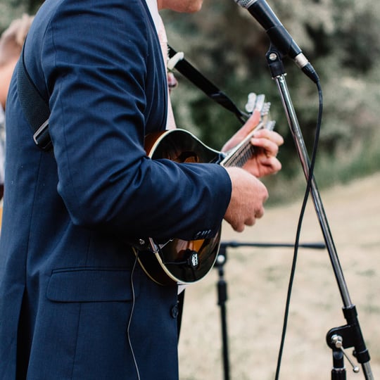 Chris Wilson - Wedding Singer / Mandolin Player in Orem, UT