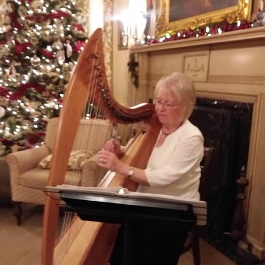 Colleen Austin - Harpist in St Michael, MN