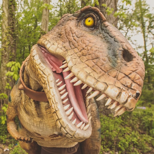 Beaux the Tyrannosaurus Rex - Costumed Character / Children’s Party Entertainment in Evansville, IN
