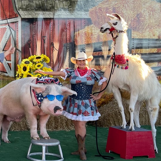 Lucy's Llamas and Celebrity Animals - Petting Zoo / College Entertainment in Myakka City, FL