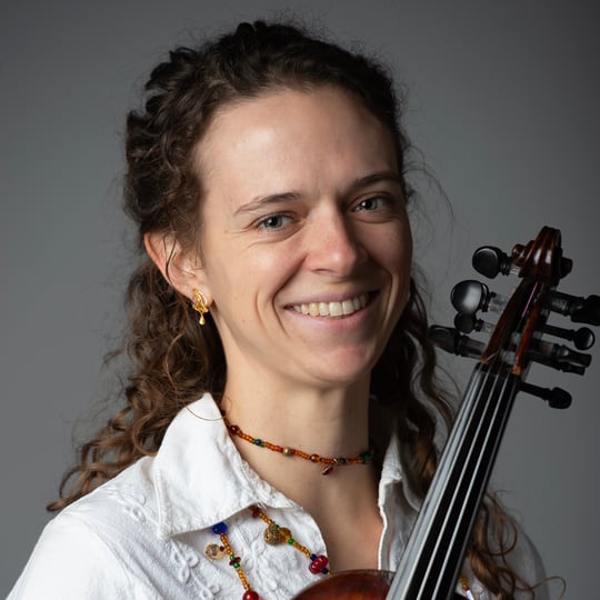 Indian, Western Violin - Multi-Instrumentalist in Chicago, IL