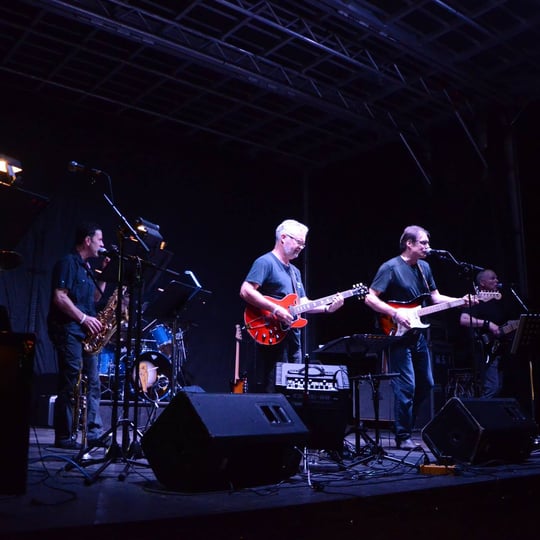 Green Martini - Party Band in Ottawa, ON