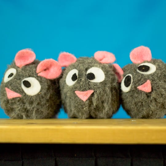 CactusHead Puppets - Puppet Show / Family Entertainment in West Springfield, MA