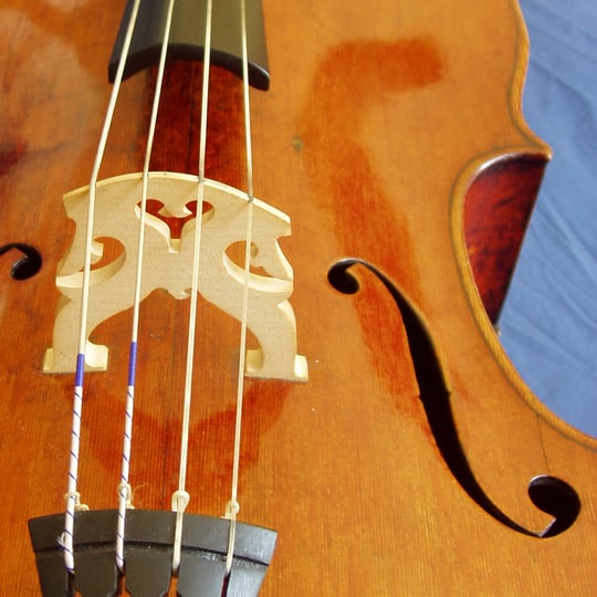 CelloWeddings - Cellist in Hyattsville, MD