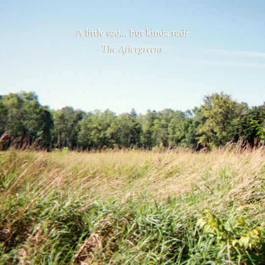 The Aftergreens - Alternative Band in Minneapolis, MN