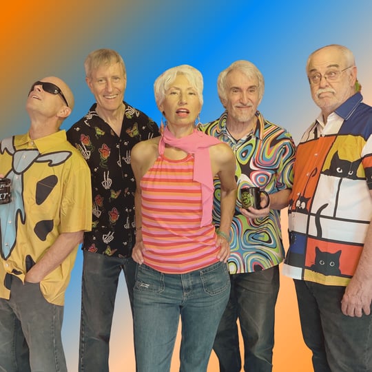 The Reminders - 1960s Era Entertainment in Stone Mountain, GA