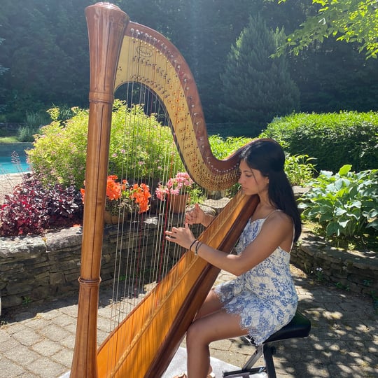Shaila Patel Harp - Harpist / Wedding Musicians in Farmington, CT