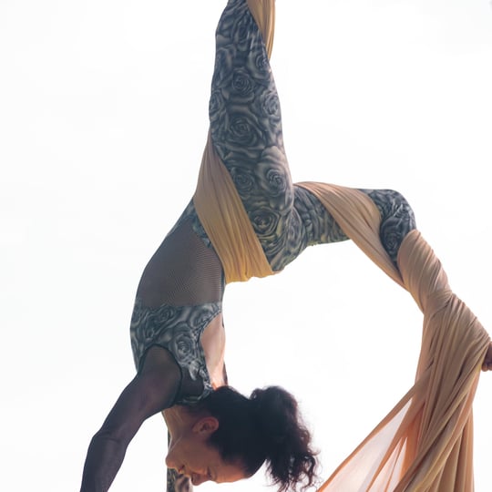Aerial Andrea - Stilt Walker / Circus and Acrobatic in Boynton Beach, FL