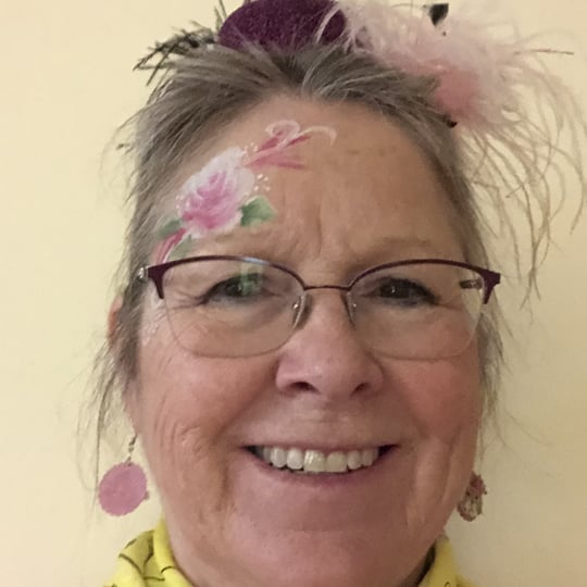Face Painting by Jan - Face Painter / Balloon Twister in O'Fallon, MO