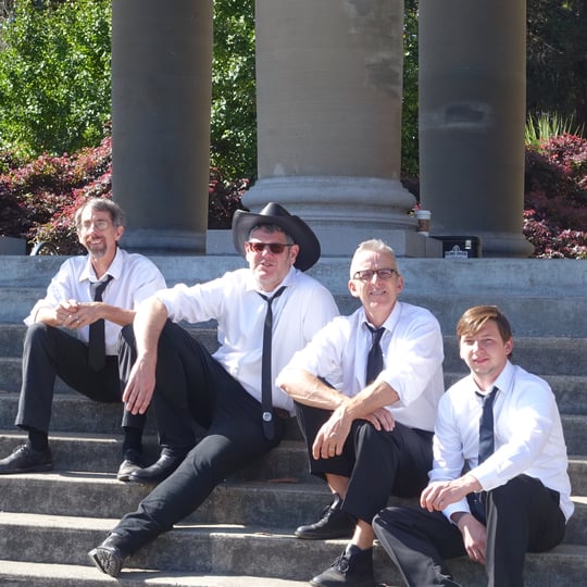 Muleskinner Stomp - Bluegrass Band in San Francisco, CA