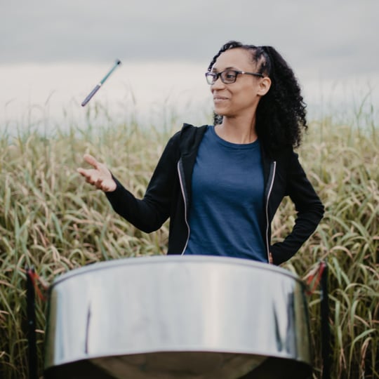 Time2Dingolay Services Inc. - Steel Drum Player in Toronto, ON