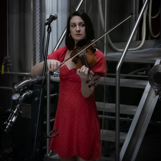 Molly Levine - Violinist / Wedding Entertainment in Green Bay, WI