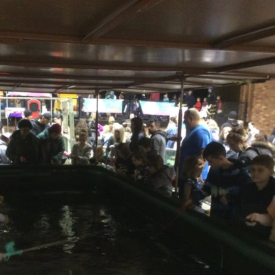 First Bite Fishing Tanks - Animal Entertainment in Youngstown, OH