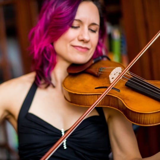 Fretless Music - Classical Ensemble in Westchester, IL