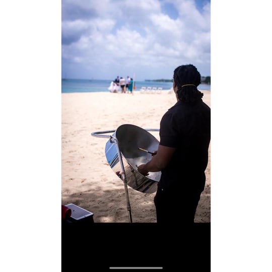 Pan Tech Assembly - Steel Drum Player in Orlando, FL