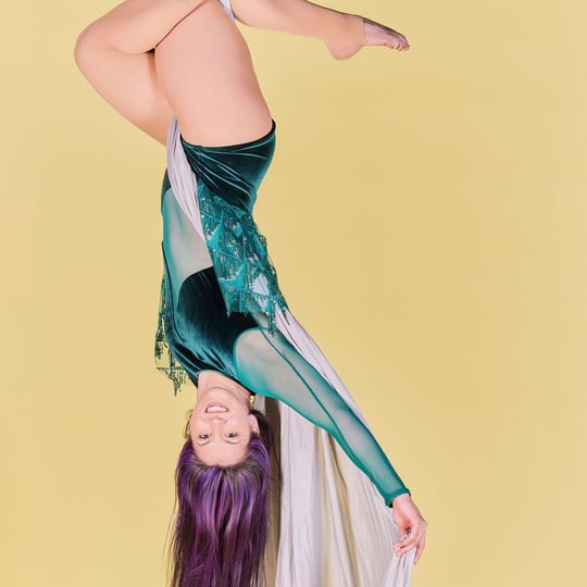 Erin Nicole Aerials - Aerialist / Circus and Acrobatic in Chicago, IL