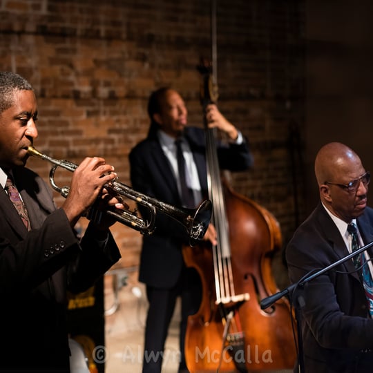 Harrison Jazz Ensemble - Jazz Band in Palo Alto, CA