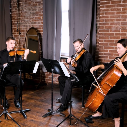 Project String Quartet - String Quartet / Classical Music in St Louis, MO