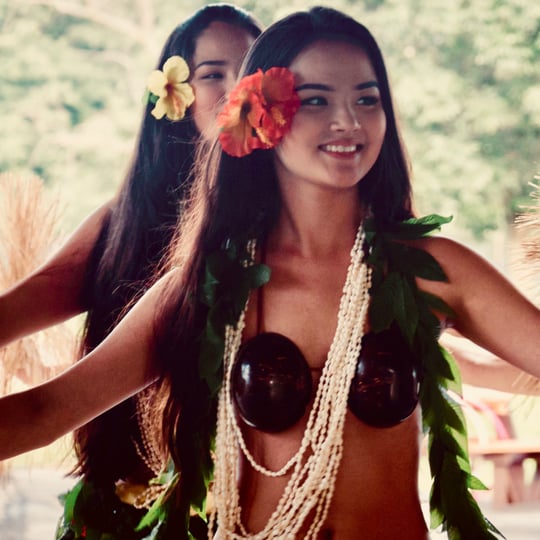 Hawaiian Island Entertainment LLC - Hawaiian Entertainment / World and Cultural in Akron, OH