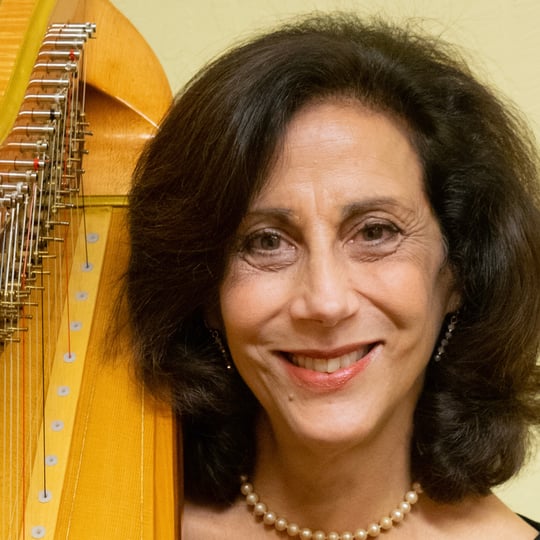 Angel Entertainment - Harpist / Celtic Music in Seekonk, MA