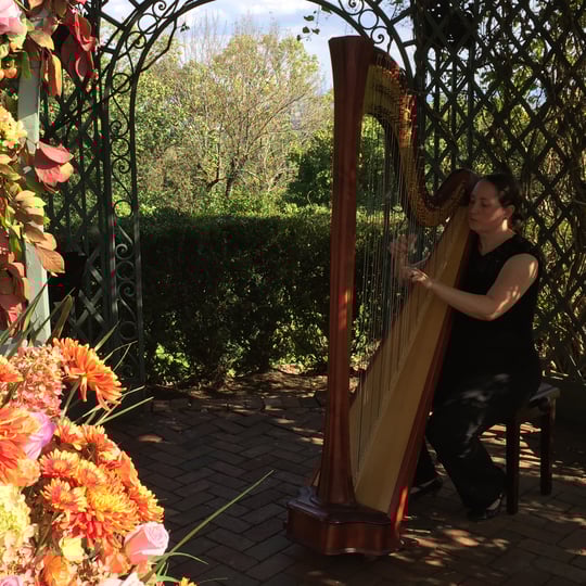 City Winds Flute and Harp  Duo - Classical Ensemble in Boonton, NJ