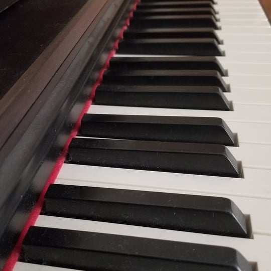 Morgan Music Studio - Classical Pianist in St Paul, MN