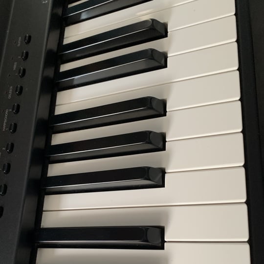Choir Director - Classical Pianist in Fort Erie, ON