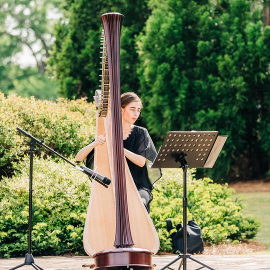 Harp Performance - Harpist in Douglasville, GA
