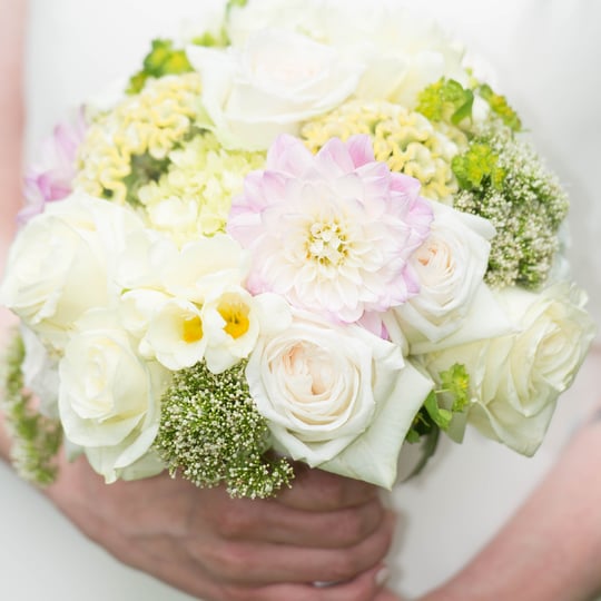 Janine Wilks Randolph Photography - Photographer in Norwalk, CT