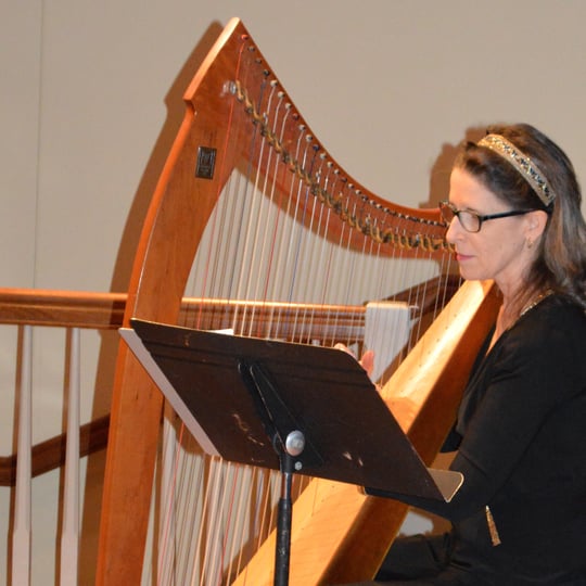 Mary Kay Mann - Celtic Music / Harpist in Media, PA