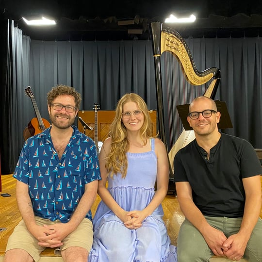 The Chamberfolk - Acoustic Band in Philadelphia, PA