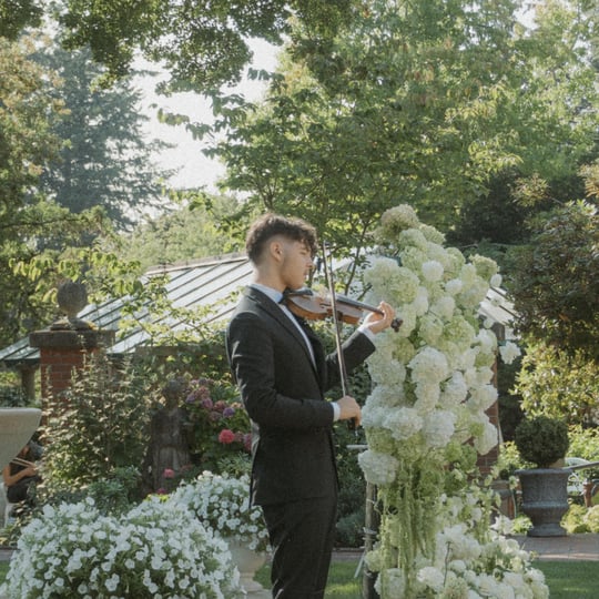 Vova Violinist - Violinist in Maple Valley, WA