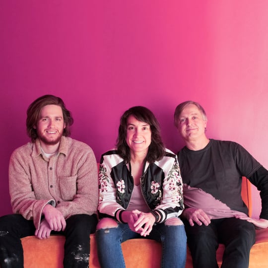 Hothouse Weeds - Alternative Band in Minneapolis, MN