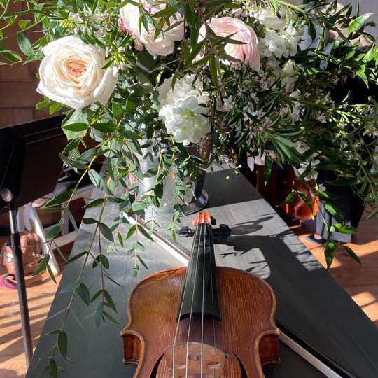 Stanton Strings - String Trio / Classical Ensemble in Ozark, MO