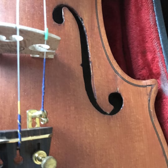 Vasileios - Violinist - Violinist in Portsmouth, RI