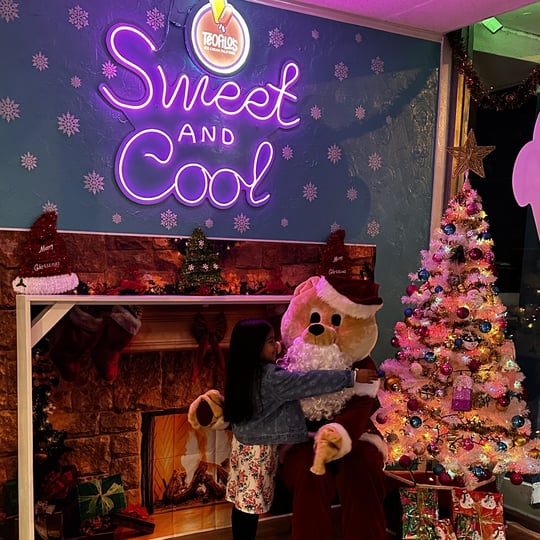 Santa Bear - Santa Claus in Clarksville, TN