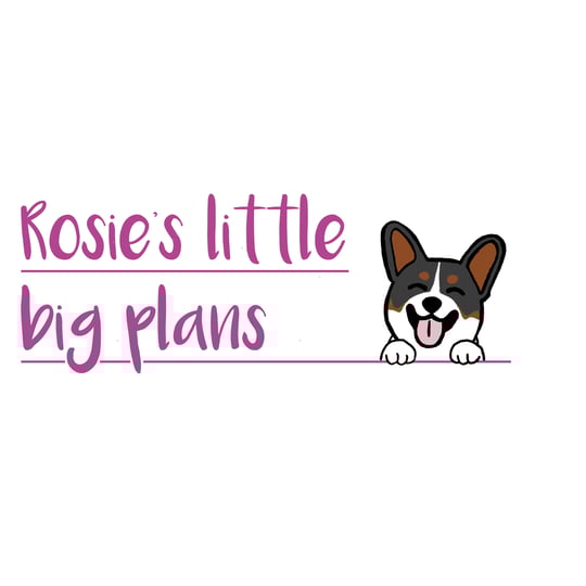 Rosie’s little big plans - Balloon Decor / Party Decor in Laconia, NH